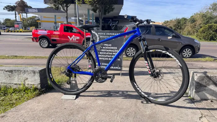 Bicicleta 29