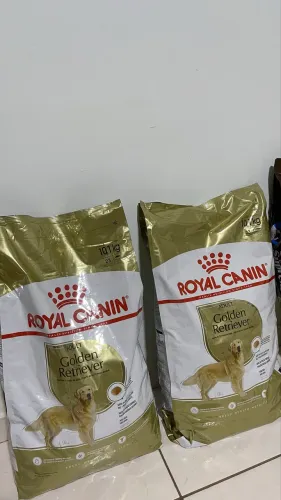 RAÇÃO ROYAL CANIN GOLDEN RETRIEVER ADULT