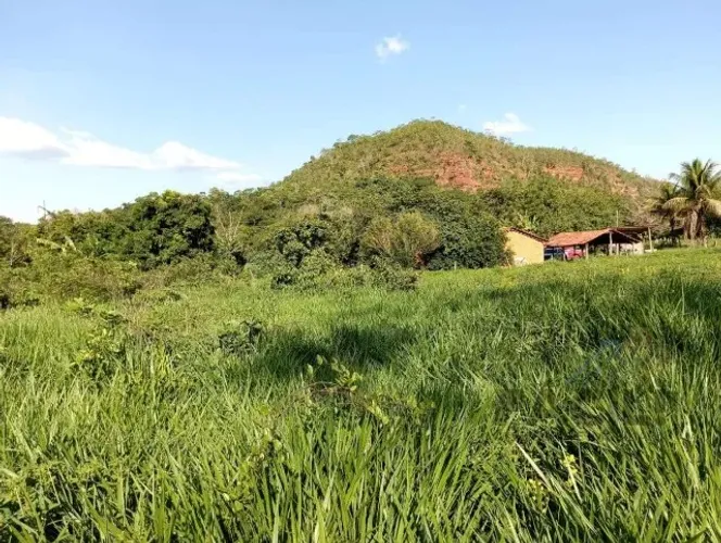 Fazenda 48 Alq Beira Rio | 1.100m de Rio Balsas | Estruturada para Gado