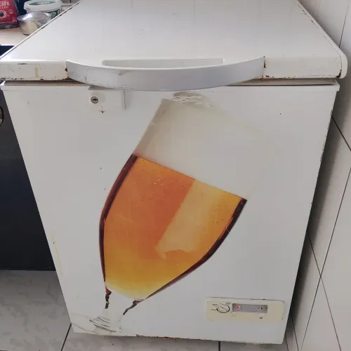 Freezer vertical