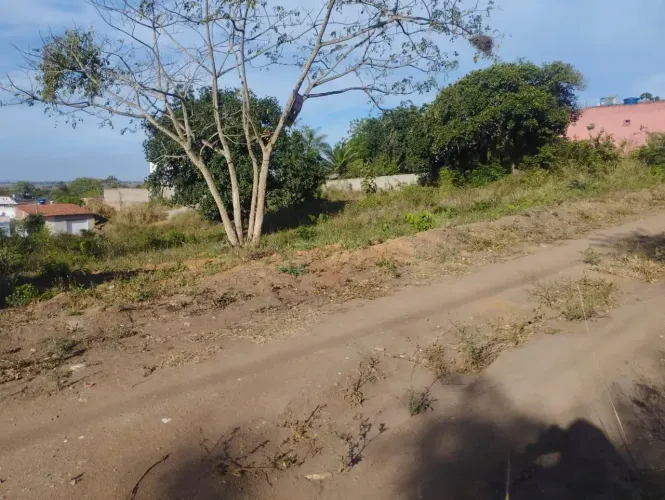 Lote 900m², Vassouras/Carpina/PE, Plano, Documentado, Perto da PE90 e do Posto Car, Negoci