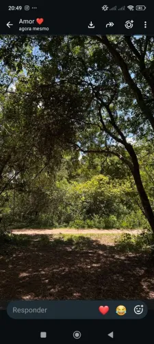 Terreno