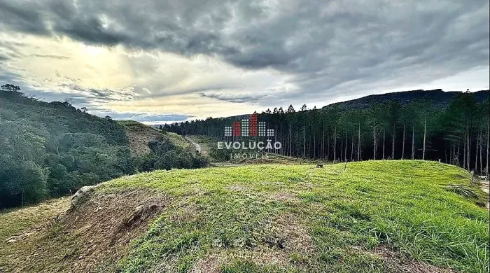 Terreno à venda, 40.000 m² - Centro - Alfredo Wagner/SC