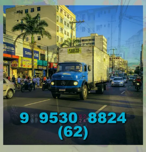 Frete no Jardim Novo Mundo! Transfira suas coisas com segurança e rapidez!