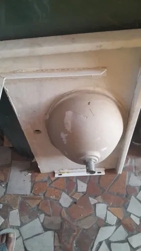 Pia semi nova