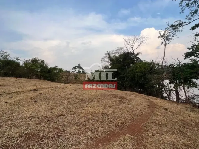 Chácara 5 Alqueires (24,2 Hectares) Brazabantes - GO