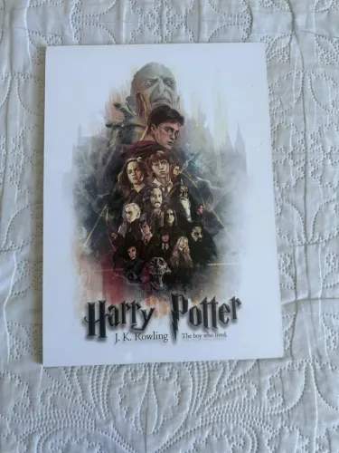 Quadro Harry Potter