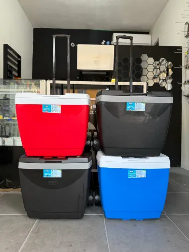 Caixa Térmica com Alça e Rodinha 42L