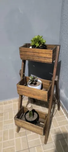 Nicho para plantas
