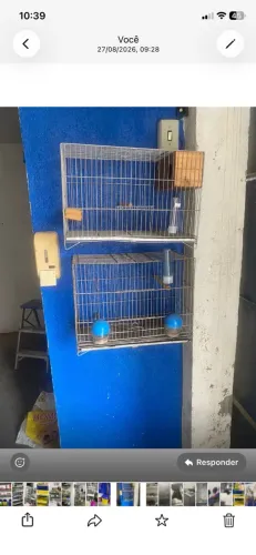 Gaiolas para periquito
