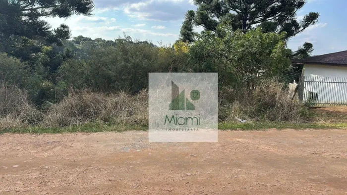 Terreno à venda, 1208 m² por R$ 550.000,00 - Vila Nova - Quitandinha/PR