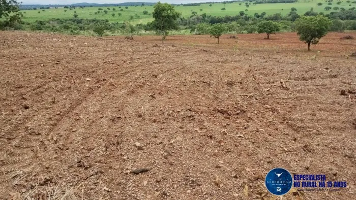 Fazenda à Venda em Bom Jardim Goiás 106 Alqueires com Dupla Aptidão