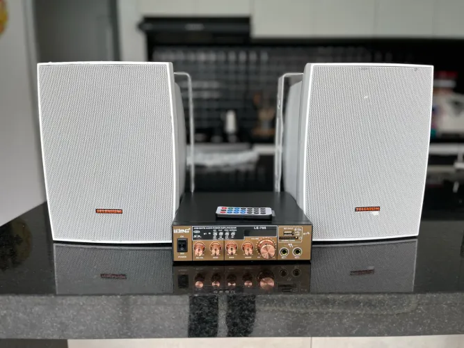 Caixa de som ambiente JBL/Selenium