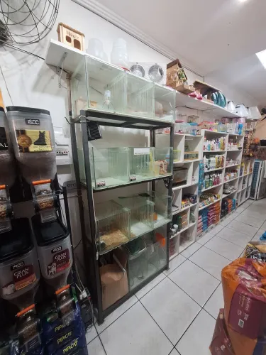 Vende-se bateria para peixes