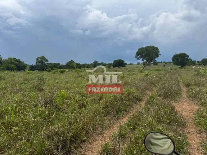 Fazenda 114,5 alqueires (554,18 hectares) Porangatu - Go