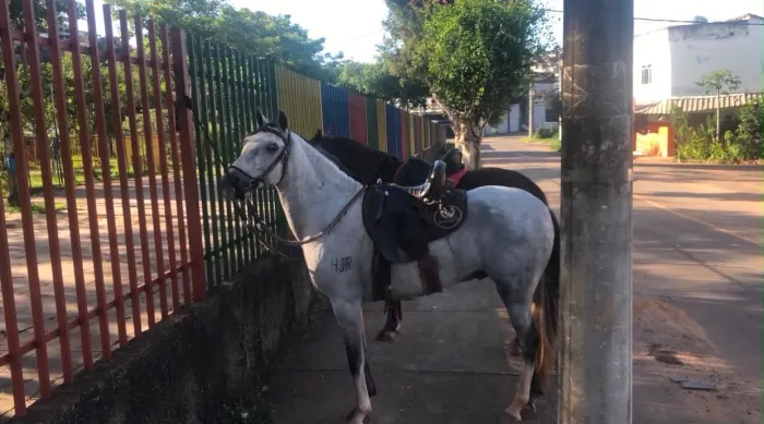 Vende-se Manga larga
