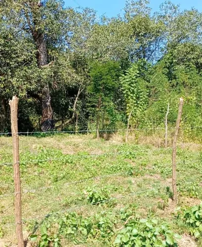 Vendo terreno.
