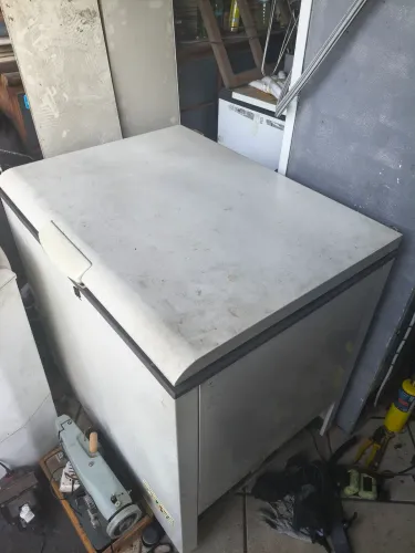 Freezer 305L