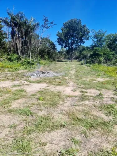 Excelente Oportunidade: 4 Lotes em Altos - PI (1200m2) com Acesso Duplo e Fácil Acesso.