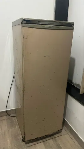 Feeezer Eletrolux 