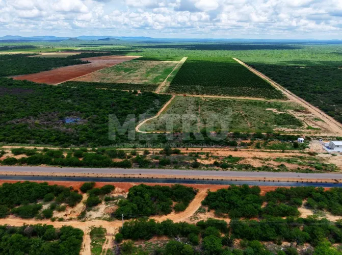 Fazenda de limão produzindo à venda, 6,5 hectares, Petrolina