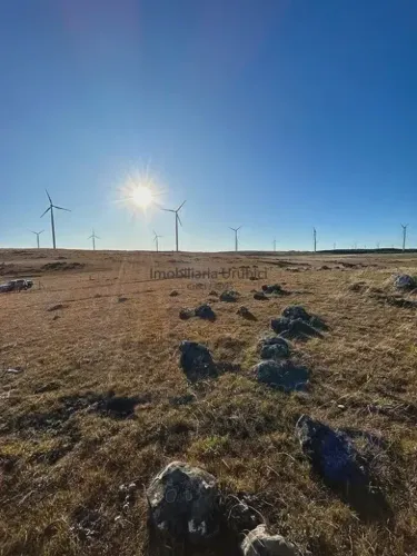 Área Rural com 76,00ha de área total, para venda. Zona Rural, Bom Jardim da Serra (SC)