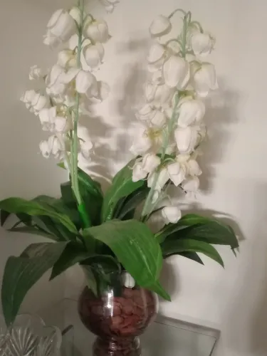 Decoração