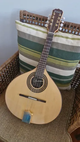 Vendo Bandolim Rozini, revisado por dois luthiers. Macio e com som excelente!