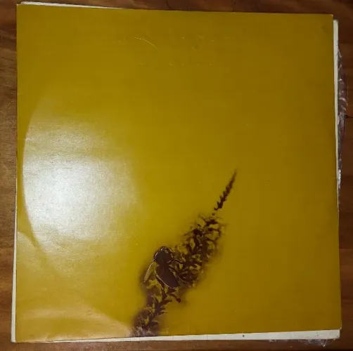 Maria Betania Mel - Disco de Vinil