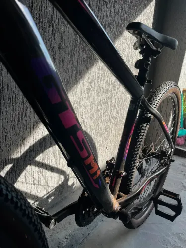 Bicicleta