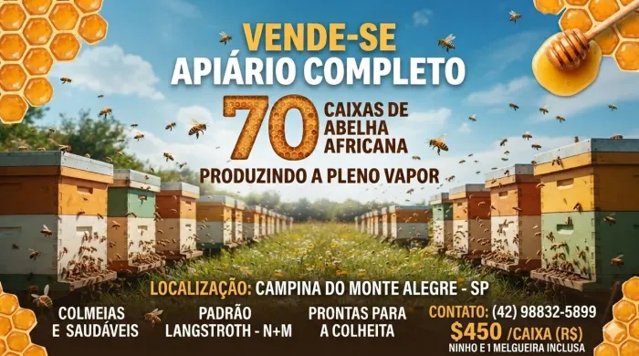 Apiário