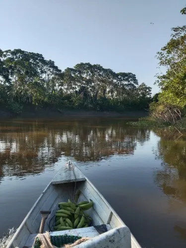 Terreno na margem do Solimões próx ( anori)