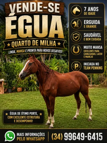 Égua mansa