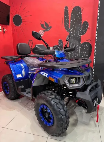 Vendo Quadriciclo