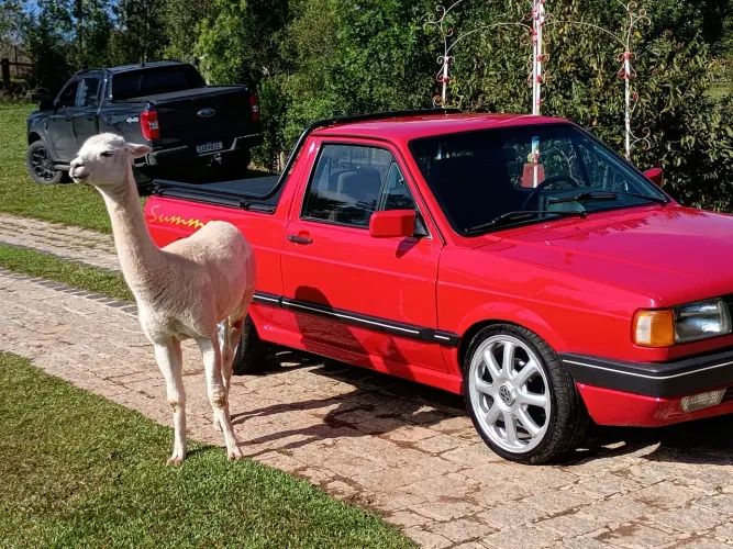 Volkswagen Saveiro CL 1.6 MI / CL/ C 1.6 (álcool) 1996