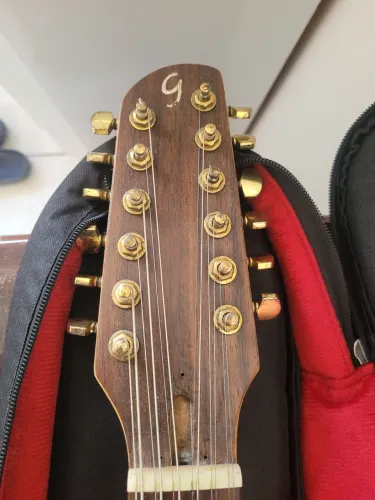 Giannini Stage 12 cordas