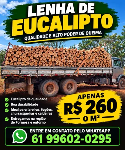 Lenha de eucalipto