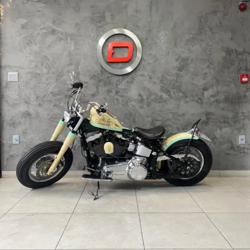 SOFTAIL DELUXE FLSTN