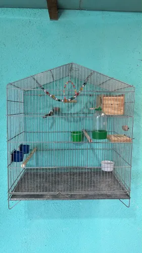 Gaiola Grande Completa 