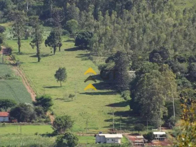 Chácara à venda, 30000 m² por R$ 1.700.000,00 - Distrito Espírito Santo - Londrina/PR