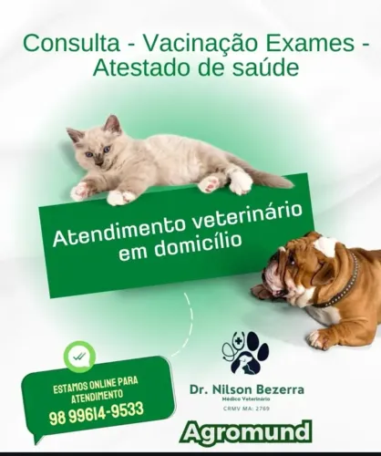 Atendimento veterinário 24hrs