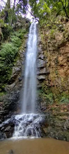 FAZENDA COM CACHOEIRA EXUBERANTE EM ITAGUARA