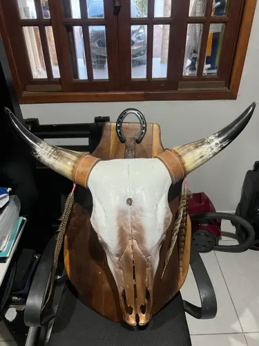 Cabeça de boi decorativa 