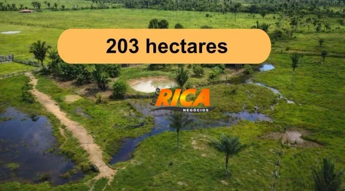 Vende-se excelente fazenda localizada a apenas 18 km de Porto Velho, sentido Rodovia BR-31