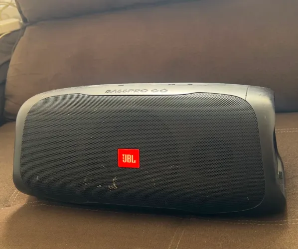 JBL BassPro Go