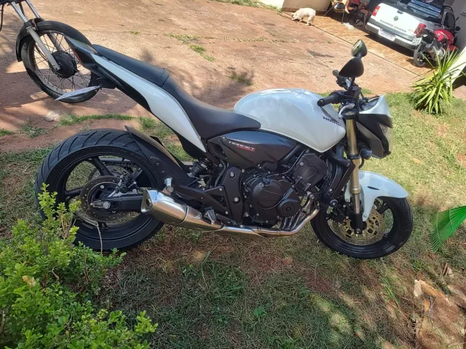 Hornet 2013
