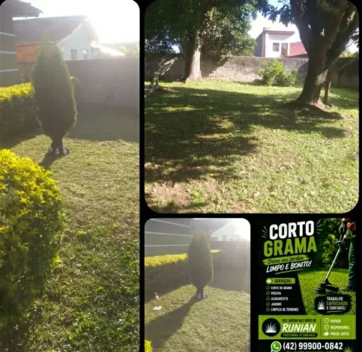 Grama , roçada, jardinagem
