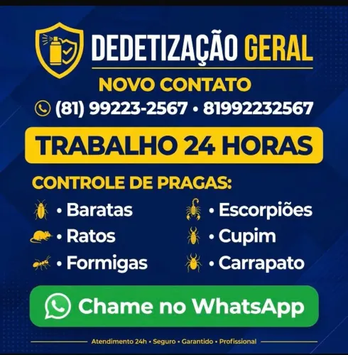 DEDETIZAÇÃO GERAL (orçamento gratuito)