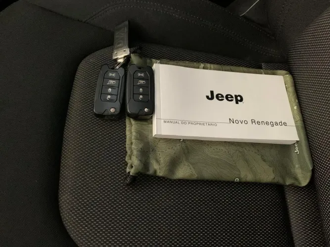 Jeep Renegade 1.8 4X2 Flex 16V Aut. 2019