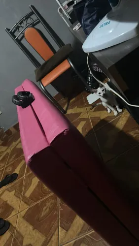 Maca portátil
